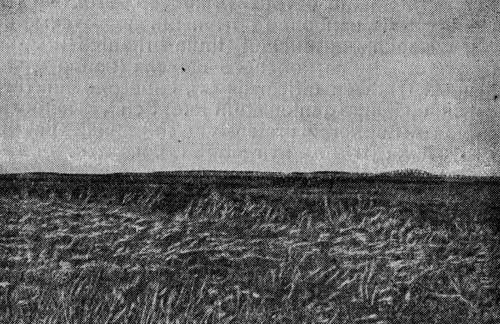 Рис. 9 Типчаково-ковылъная степь на Сало-Манычском водоразделе к северу от оз. Губило; на заднем плане курган 