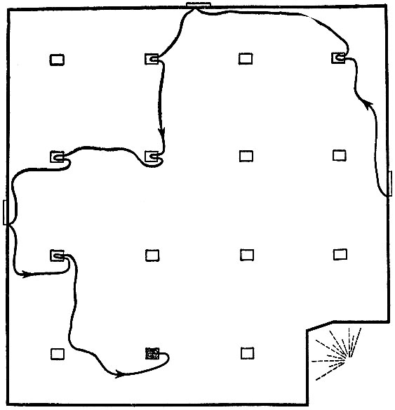 Рис. 3. Окольный путь к гнезду, выбранный вспугнутой мышью (рейки на рисунке не показаны)