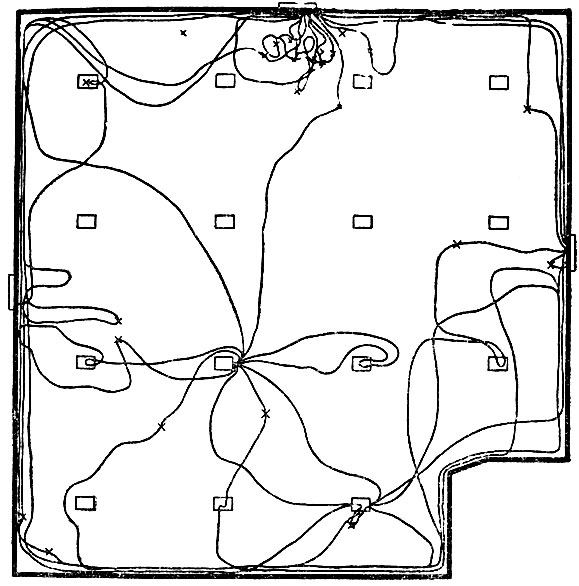 Рис. 4. Передвижения Артура за время одной кормежки. Крестиками отмечены точки, где он ел зерно (рейки на рисунке не показаны)