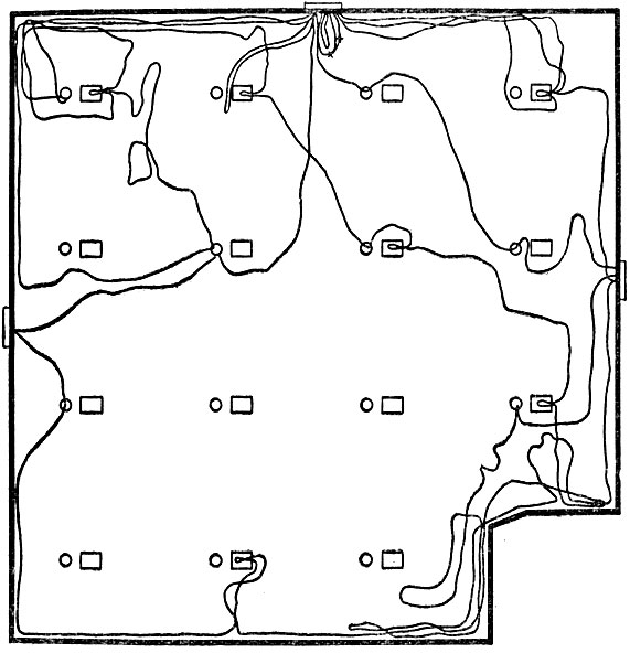 Рис. 7. Передвижения самки за часовой период активности (рейки на рисунке не показаны)